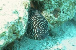 20020528_El_Fanadir_0037